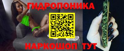 индика Жуковский