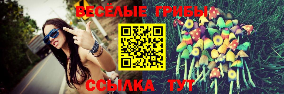 Псилоцибиновые грибы GOLDEN TEACHER Чехов